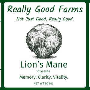 Lion's Mane Tincture