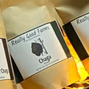 Chaga Powder